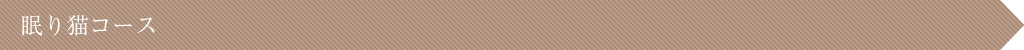 眠り猫コース